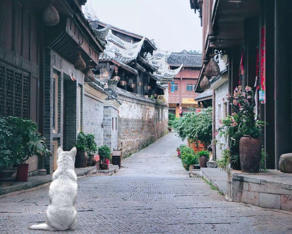 神谕文明